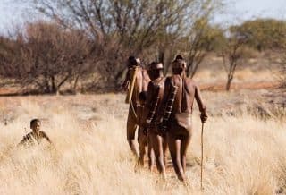 Pourquoi choisir de voyage au Botswana