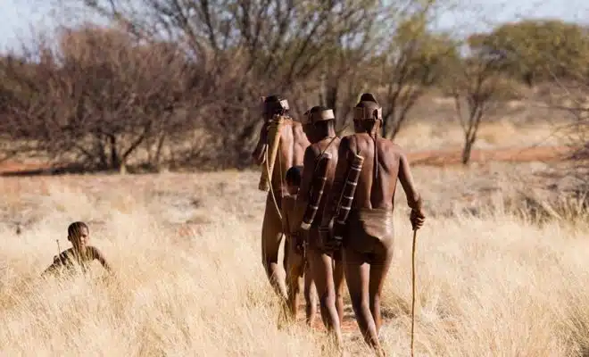 Pourquoi choisir de voyage au Botswana