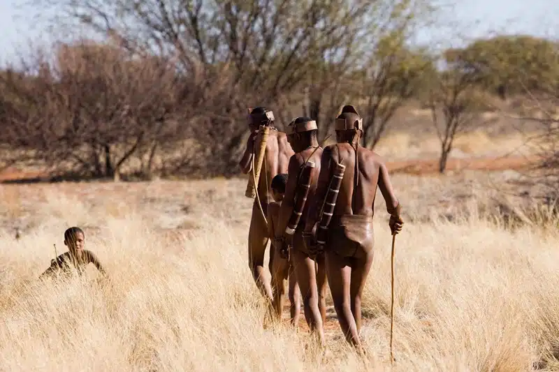 Pourquoi choisir de voyage au Botswana