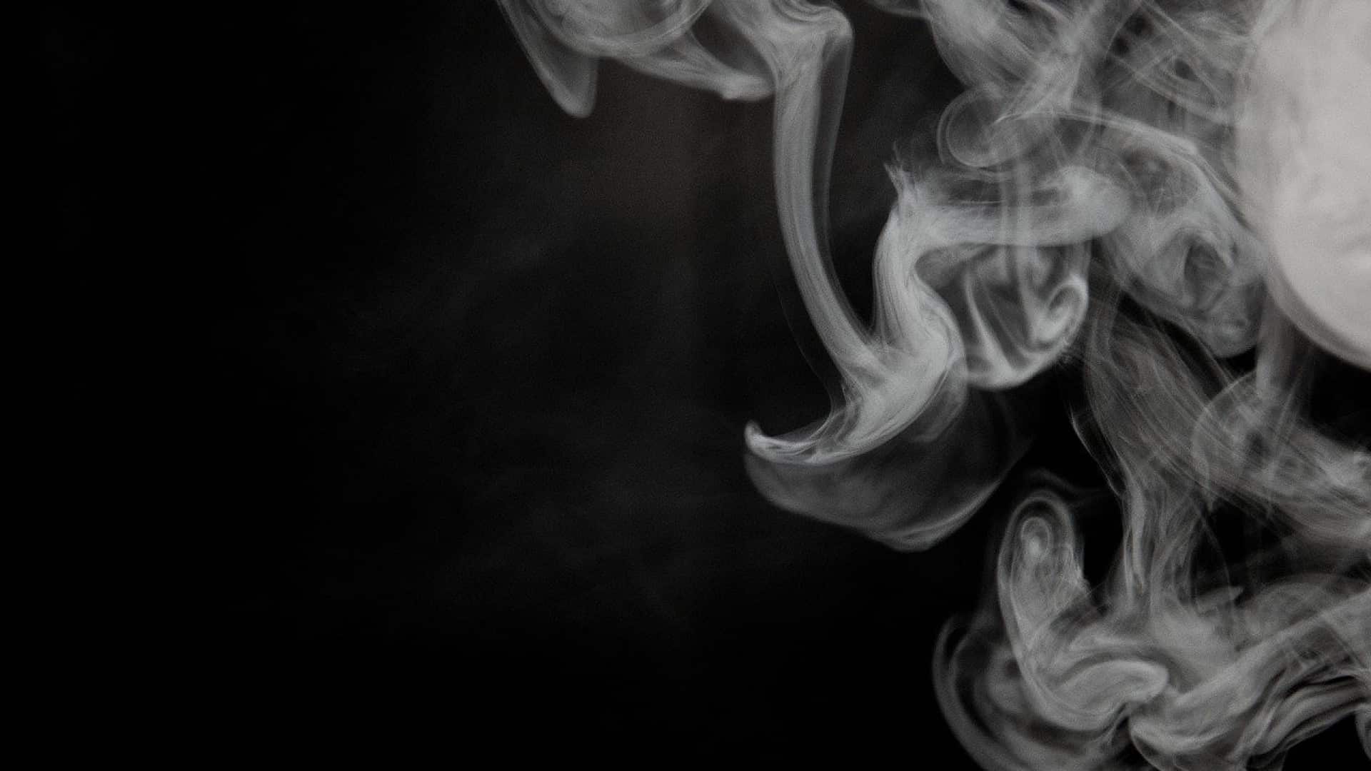 Quel charbon à chicha choisir ?